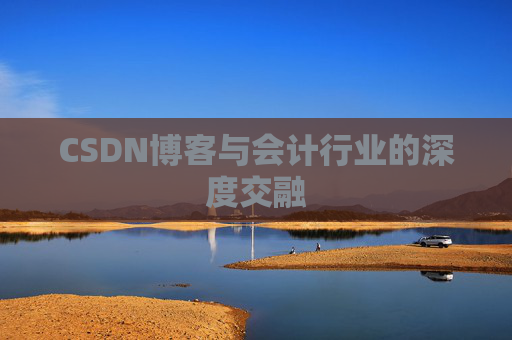 CSDN博客与会计行业的深度交融