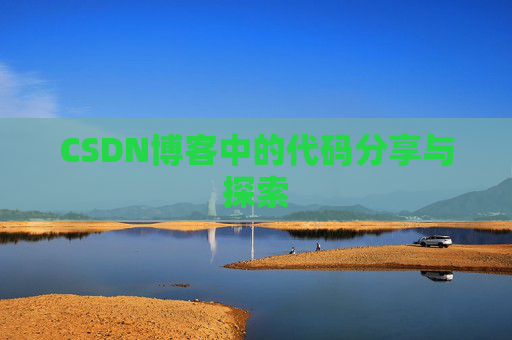 CSDN博客中的代码分享与探索